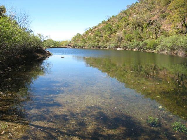 presa de las jacarandas